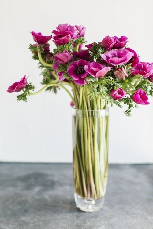 Likes | Tumblr #flowers