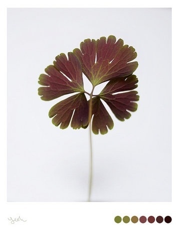 FFFFOUND! #photography