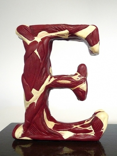 Evolution of Type, Exhibits 10, 11 & 13 #type #of #evolution