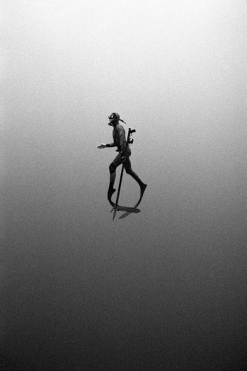 Google Reader (144) #white #diver #free #dive #black #zimmerman #kanoa