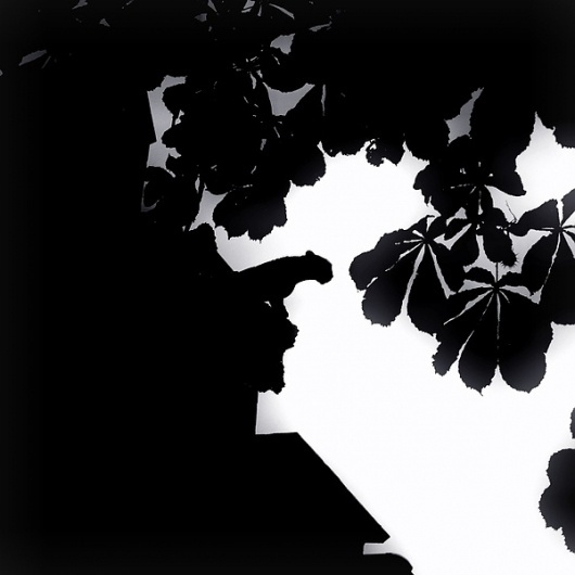 Personal Work #white #tree #draw #black #chinese #pantera #shadow
