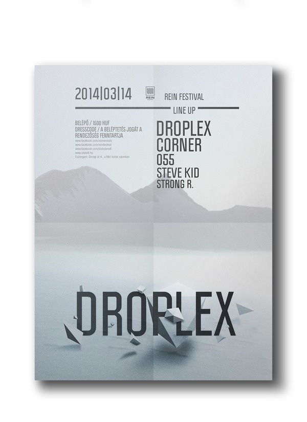 REIN Festival on Behance #festival #flyer #design #graphic #rein #poster