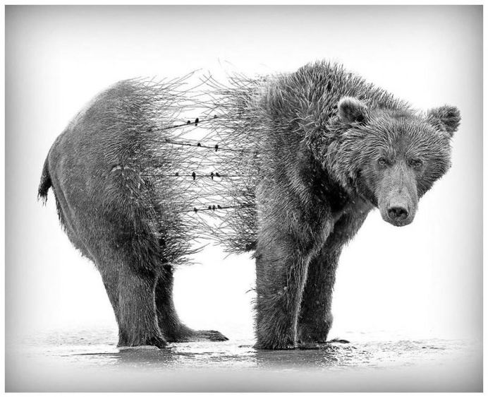 Stunning Double Exposure Photography by Nevess