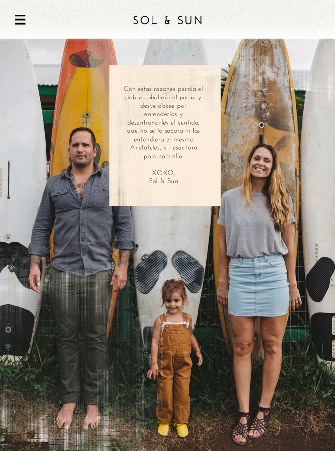 Sol & Sun - Amy Martino - Design + Art Direction #design #web #wine
