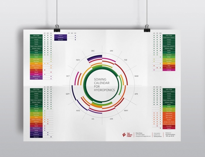Infographics