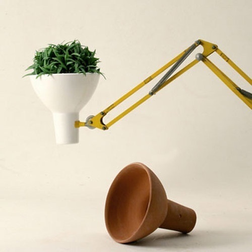 Lamp with identity issues. #lamp #plant