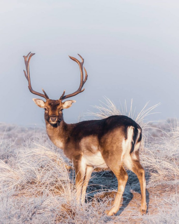 Beautiful and Extraordinary Outdoor Photography by Karen Heslinga