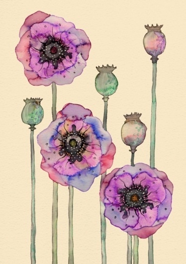 Colleen Parker - Paperface // Wild Poppies #watercolor #poppies