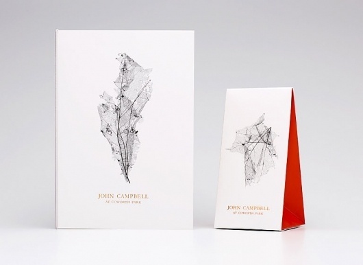 Graphic-ExchanGE - a selection of graphic projects #skeleton #identity #leaf