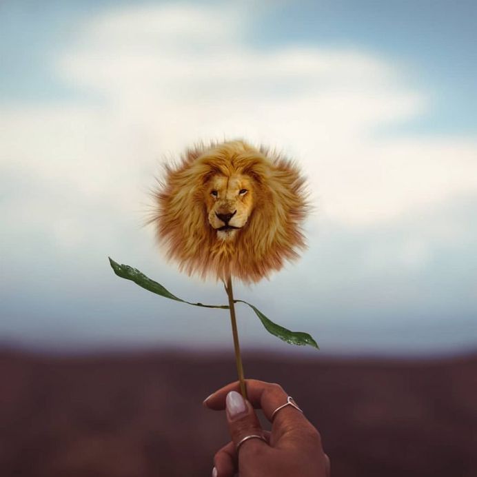 Playful and Dreamlike Photo Manipulations by Phuoc Nguyen