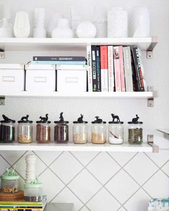 Animals on jars on shelves