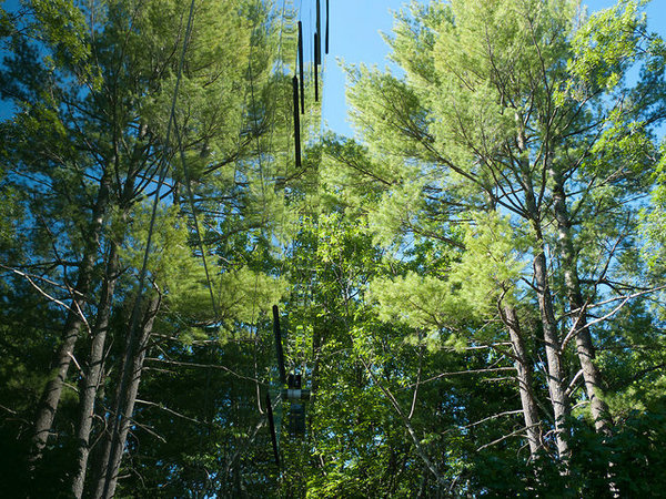 CJWHO ™ (A Skyscraper Style Treehouse With Soaring Mountain...) #design #treehouse #landscape #nature #photography #architecture