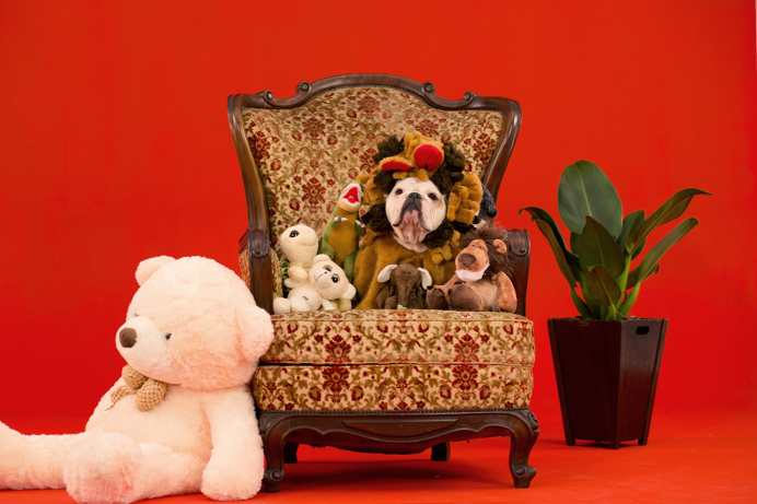 LG Smart Care - Humans! #stage #dogs #fantasize #red
