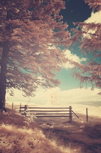 NOW AND THEN #photography