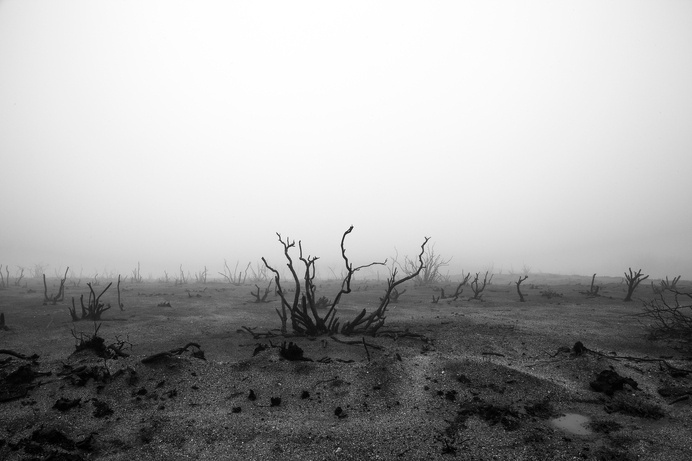 Au Revoir 2 JANUARY 16, 2014 On his day off from duty, a firefighter is called in to work to help tame a wild arson fire. Defending a home, #white #fog #firefighters #black #landscape #mist #barren #photography #fire #and #remembrance #death #wildfire