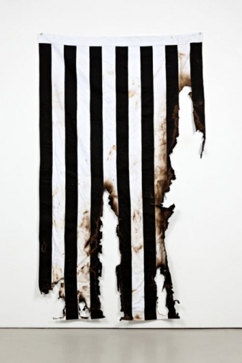 2headedsnake #burn #flag #burned #stripes