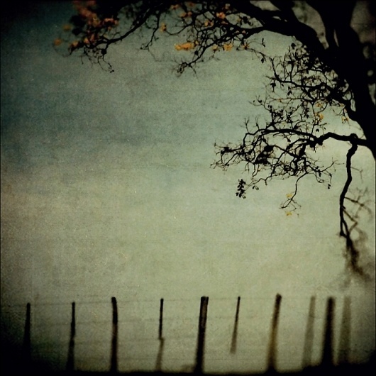 Into Infinity, Frozen Memory, Artwork by Leda Siloto #tree