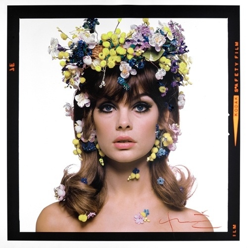Foto Scatti preziosi - 1 di 9 - D - la Repubblica #photography #stern #vintage #bert #jean #shrimpton
