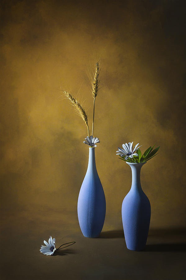 daisy painting & daisy paint by number #painting