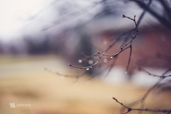 Photographer Jordan Parks #inspiration #photography