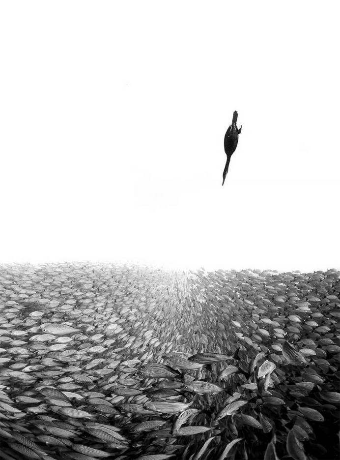 Between Two Worlds by Henley Spiers