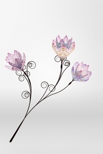 Creative Review - Mulberry says it with (digital) flowers #illustration #flowers