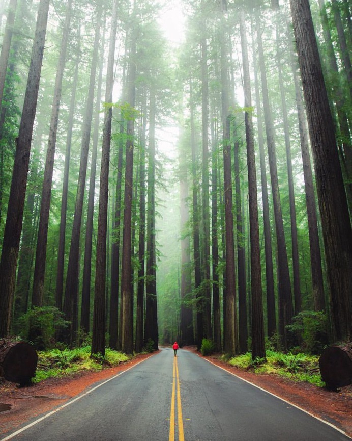 Wonderful Landscape and Adventure Photography by Ty Newcomb
