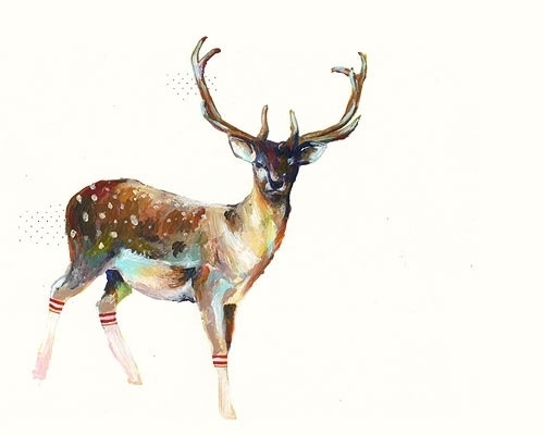 John James: HAPPY CANADA DAY! #tubesocks #deer
