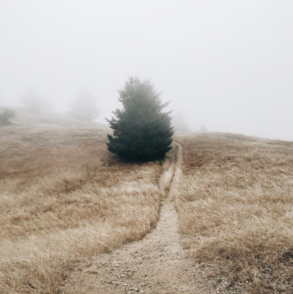 Emma Fineman | PICDIT