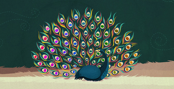 pantone peacock #illustration #color