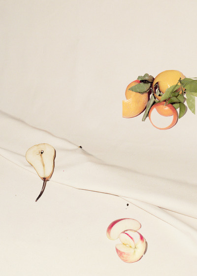 fruit study on canvas (IV), 2013 adamkremer
