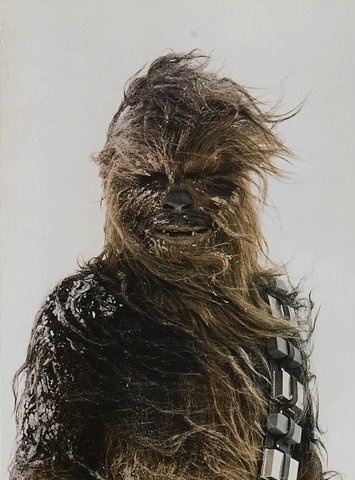 FFFFOUND! #costume