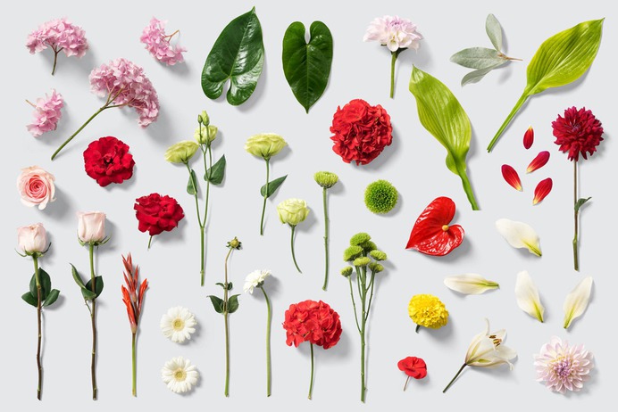 Floral Mockups and Stationery Pack