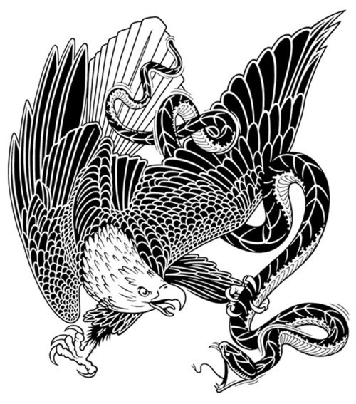 Google Image Result for http://24.media.tumblr.com/tumblr_lp12l5x9iC1qg6vdso1_500.jpg #giant #eagle #mike #snake