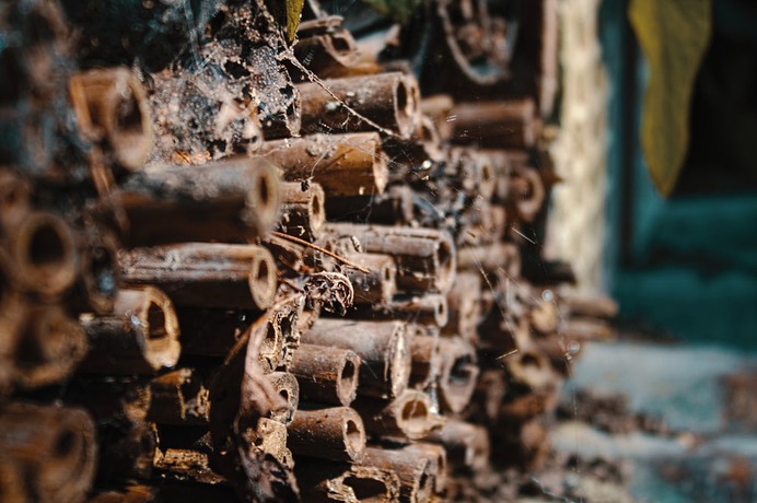Rust, venice, art and painting | HD photo by Lisa Therese (@lisa_therese) on Unsplash