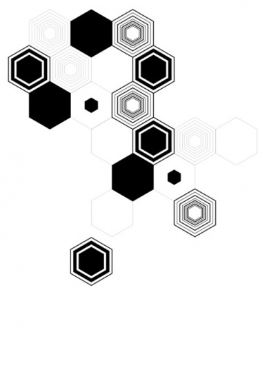 tumblr_lrs4frvSWX1qziq9oo1_500.jpg 500×683 pixels #hexagons #white #hellopanos #black #minimalism