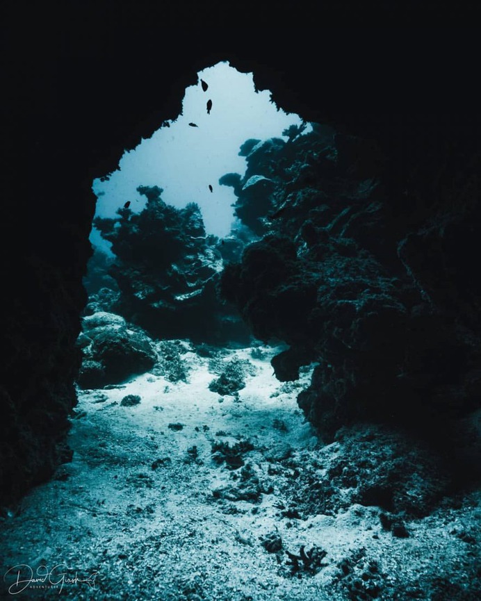 Exceptional Underwater and Ocean Photography by David Girsh