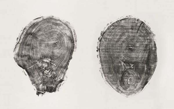 wood #wood #photography #graphics
