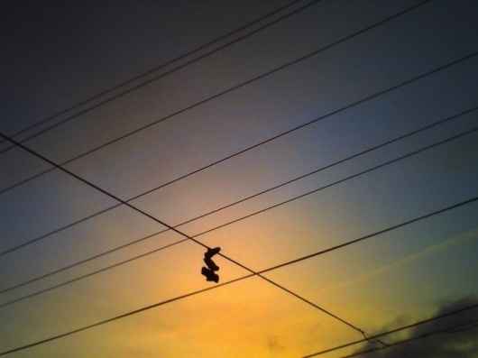 dust breeding » Archives » 351 / lines in the sky (+ two more things) #lines #shoes #sky #wires #sunset
