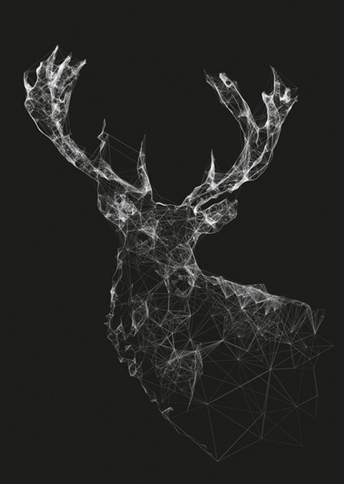 Jordan Rogers #buck #wildlife #art