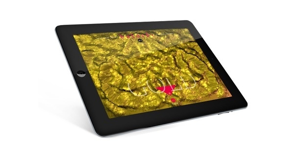 Katachi Magazine GOld Issue 3 #katachi #ipad #gold #magazine #typography