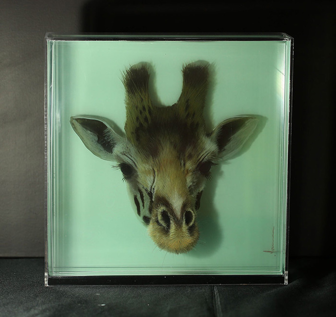 3D Paintings of Animals on Layers of Glass by Yosman Botero #3d #3D painting #animals #glass #yosman botero