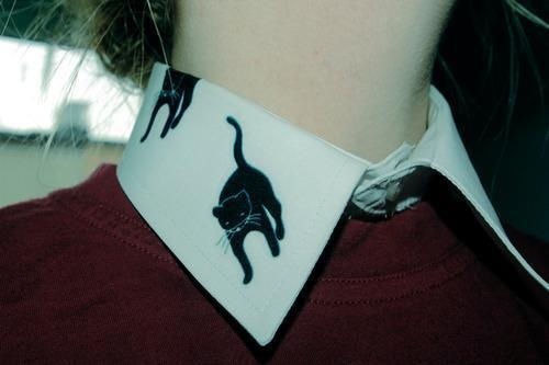 neckband #fashion #collar #cat