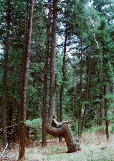 tree-1-600x847.jpg (530×748) #outside #seating