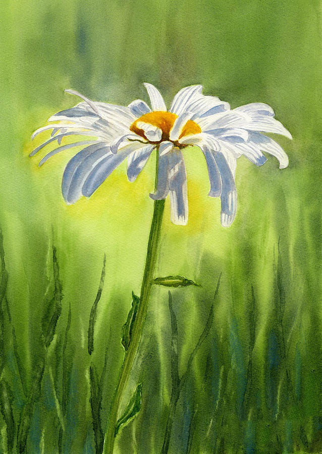 daisy painting & daisy paint by number #painting