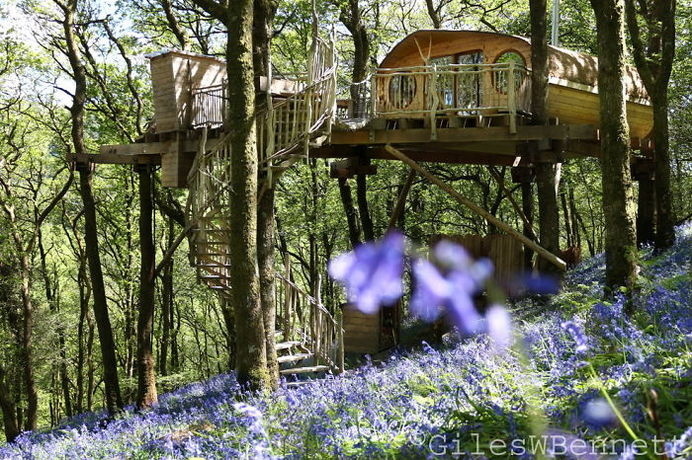 Treehouse In Wales, Uk (architect Peter Canham) #treehouse