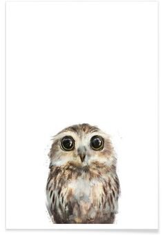 Little Owl as Premium Poster by Amy Hamilton | JUNIQE