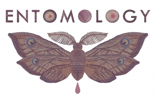 E N T O M O L O G Y on the Behance Network #insects #moth #entomology #butterfly #beetle #illustration #nature #wings