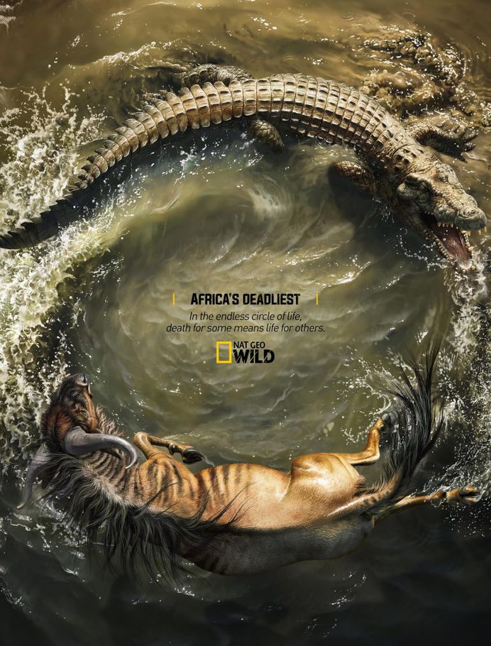 Africa’s Deadliest – Crocodile X Wildebeest