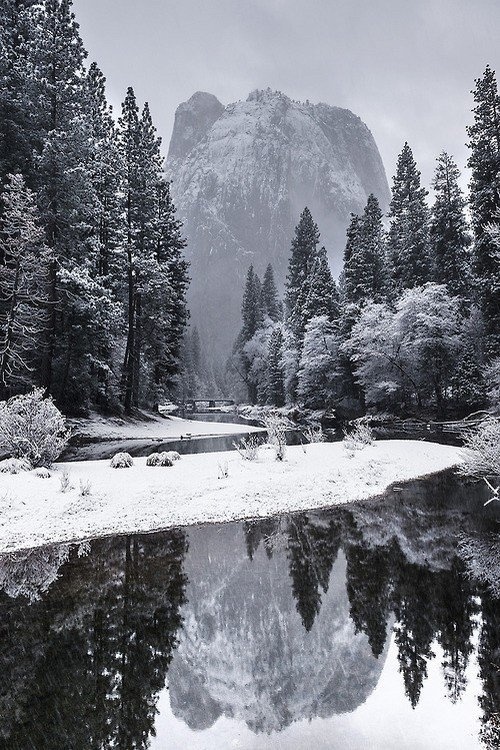 Photography #yosemite #b&w #winter #image #reflected
